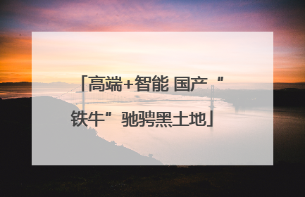高端+智能 国产“铁牛”驰骋黑土地