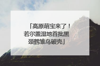 高原萌宝来了！若尔盖湿地首批黑颈鹤雏鸟破壳