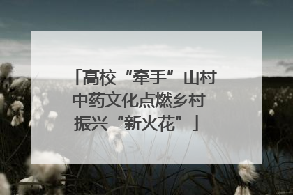 高校“牵手”山村 中药文化点燃乡村振兴“新火花”