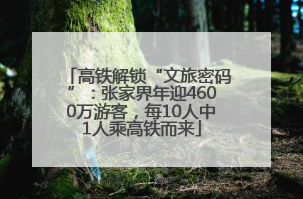 高铁解锁“文旅密码”：张家界年迎4600万游客，每10人中1人乘高铁而来