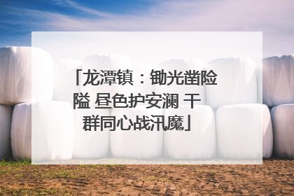 龙潭镇：锄光凿险隘 昼色护安澜 干群同心战汛魔