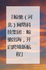 鲸驰（河北）网络科技集团：鲸驰出海，开启跨境新航程