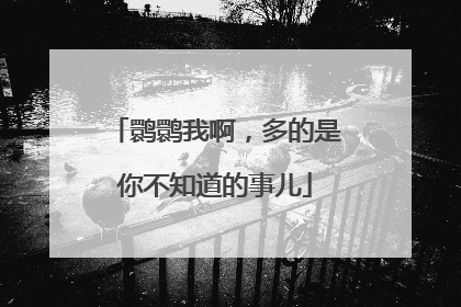 鹮鹮我啊，多的是你不知道的事儿
