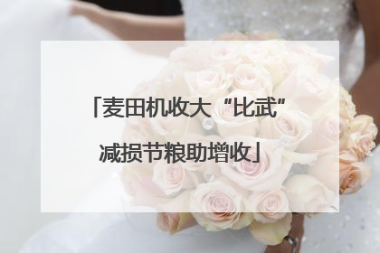 麦田机收大“比武” 减损节粮助增收
