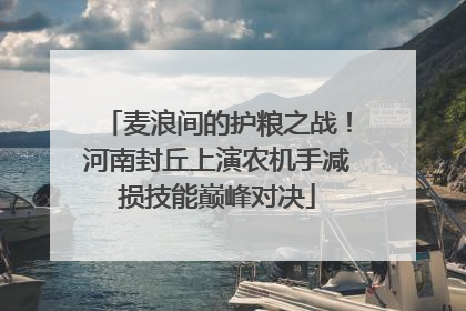 麦浪间的护粮之战！河南封丘上演农机手减损技能巅峰对决