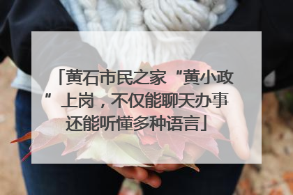 黄石市民之家“黄小政”上岗，不仅能聊天办事还能听懂多种语言