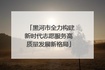 黑河市全力构建新时代志愿服务高质量发展新格局