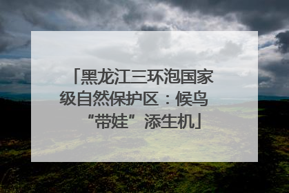 黑龙江三环泡国家级自然保护区：候鸟“带娃”添生机