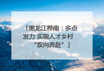 黑龙江桦南：多点发力 实现人才乡村“双向奔赴”