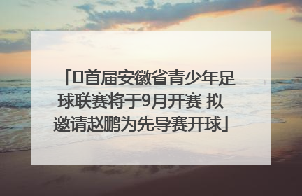 ﻿首届安徽省青少年足球联赛将于9月开赛 拟邀请赵鹏为先导赛开球