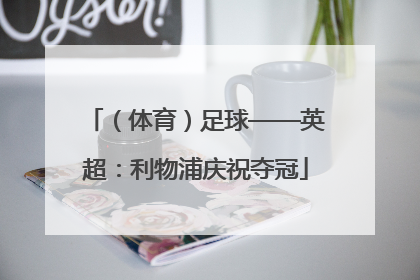 （体育）足球——英超：利物浦庆祝夺冠