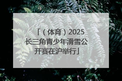 （体育）2025长三角青少年滑雪公开赛在沪举行