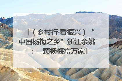 （乡村行·看振兴）“中国杨梅之乡”浙江余姚：一颗杨梅富万家