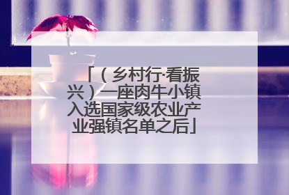 （乡村行·看振兴）一座肉牛小镇入选国家级农业产业强镇名单之后