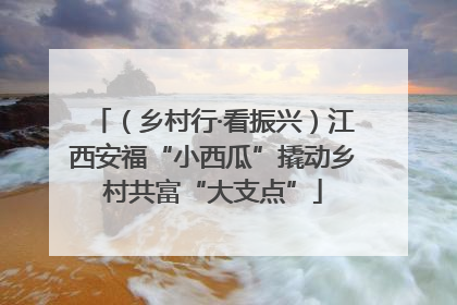（乡村行·看振兴）江西安福“小西瓜”撬动乡村共富“大支点”