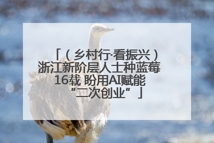 （乡村行·看振兴）浙江新阶层人士种蓝莓16载 盼用AI赋能“二次创业”