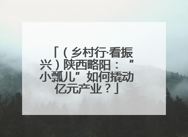 （乡村行·看振兴）陕西略阳：“小瓢儿”如何撬动亿元产业？