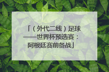 （外代二线）足球——世界杯预选赛：阿根廷赛前备战