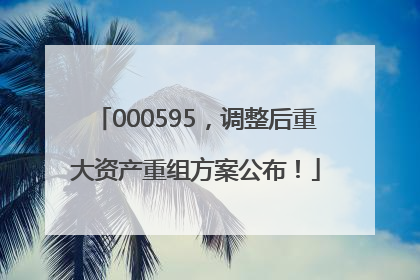 000595，调整后重大资产重组方案公布！
