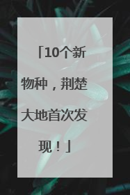 10个新物种，荆楚大地首次发现！