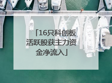 16只科创板活跃股获主力资金净流入