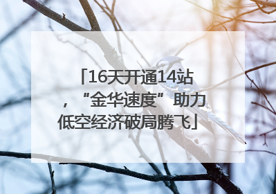 16天开通14站，“金华速度”助力低空经济破局腾飞