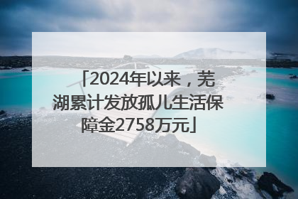 2024年以来，芜湖累计发放孤儿生活保障金2758万元
