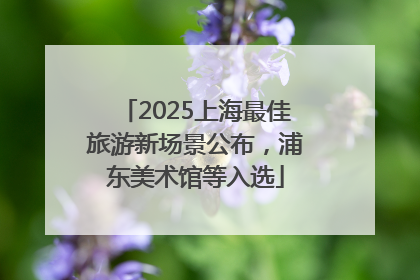 2025上海最佳旅游新场景公布，浦东美术馆等入选