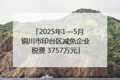 2025年1—5月铜川市印台区减免企业税费 3757万元