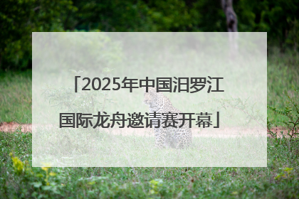 2025年中国汨罗江国际龙舟邀请赛开幕