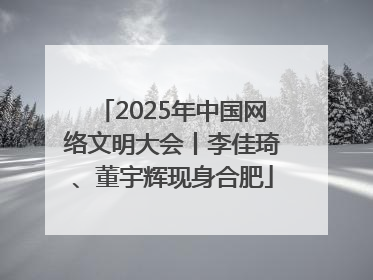 2025年中国网络文明大会丨李佳琦、董宇辉现身合肥