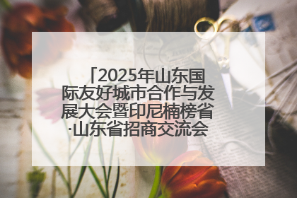 2025年山东国际友好城市合作与发展大会暨印尼楠榜省·山东省招商交流会在济南槐荫举行