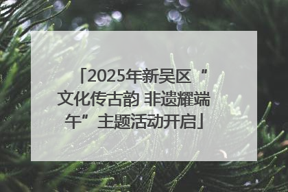 2025年新吴区“文化传古韵 非遗耀端午”主题活动开启