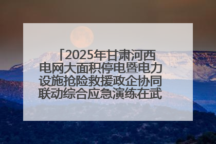 2025年甘肃河西电网大面积停电暨电力设施抢险救援政企协同联动综合应急演练在武威成功举行