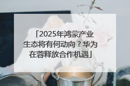 2025年鸿蒙产业生态将有何动向？华为在蓉释放合作机遇