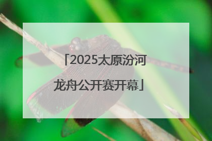 2025太原汾河龙舟公开赛开幕