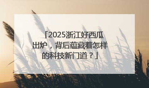 2025浙江好西瓜出炉，背后蕴藏着怎样的科技新门道？