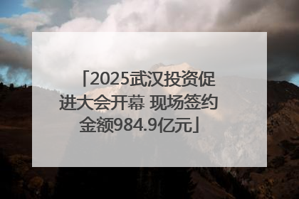 2025武汉投资促进大会开幕 现场签约金额984.9亿元