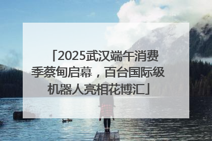 2025武汉端午消费季蔡甸启幕，百台国际级机器人亮相花博汇