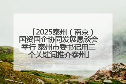 2025泰州（南京）国资国企协同发展恳谈会举行 泰州市委书记用三个关键词推介泰州