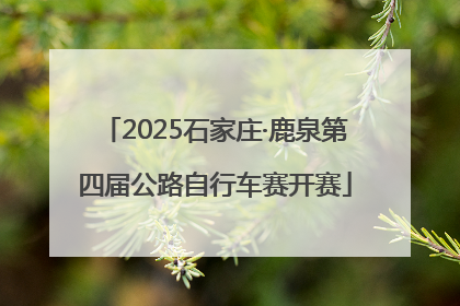 2025石家庄·鹿泉第四届公路自行车赛开赛
