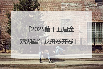 2025第十五届金鸡湖端午龙舟赛开赛