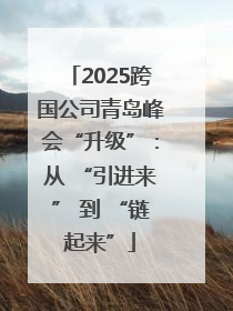 2025跨国公司青岛峰会“升级”：从 “引进来” 到 “链起来”