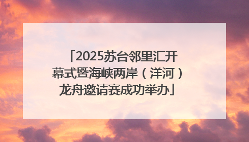 2025苏台邻里汇开幕式暨海峡两岸（洋河）龙舟邀请赛成功举办
