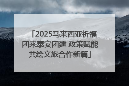 2025马来西亚祈福团来泰安团建 政策赋能共绘文旅合作新篇