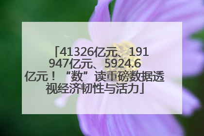 41326亿元、191947亿元、5924.6亿元！“数”读重磅数据透视经济韧性与活力