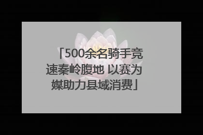 500余名骑手竞速秦岭腹地 以赛为媒助力县域消费