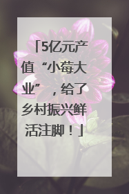 5亿元产值“小莓大业”，给了乡村振兴鲜活注脚！