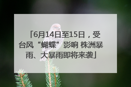 6月14日至15日，受台风“蝴蝶”影响 株洲暴雨、大暴雨即将来袭