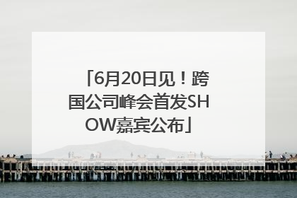6月20日见！跨国公司峰会首发SHOW嘉宾公布